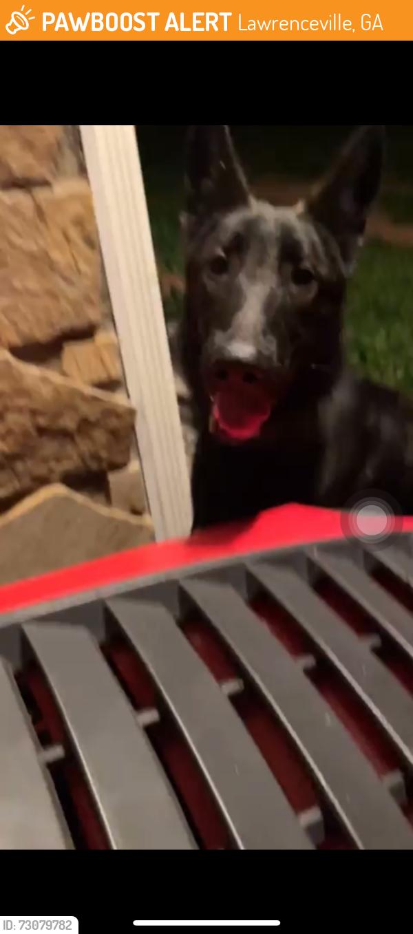 Found/Stray Male Dog last seen Lawrenceville HWY, Lawrenceville, GA 30044