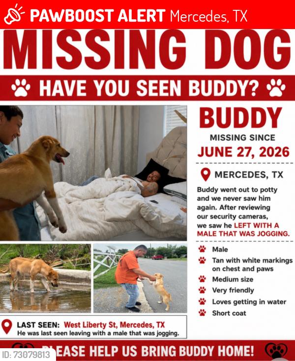 Lost Male Dog last seen Palmetto and West Liberty Mercedes TX, Mercedes, TX 78570