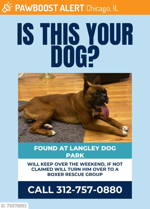 Found/Stray Male Dog last seen Across from Langley dog park, Pullman area, Chicago, IL 60628