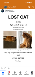 Reunited Male Cat last seen Chorlton/Whalley Range, Greater Manchester, England M21