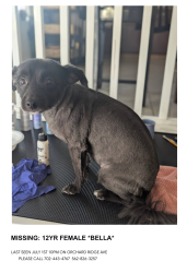 Lost Female Dog last seen Near orchard ridge Ave, Las Vegas, NV 89129