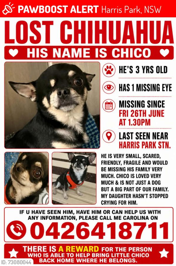 Lost Male Dog last seen Harris Park train station, Harris Park, NSW 2150