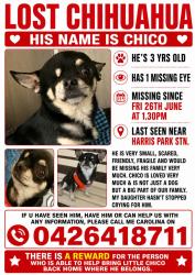 Lost Male Dog last seen Harris Park train station, Harris Park, NSW 2150