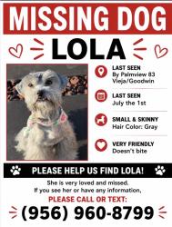 Lost Female Dog last seen Una calle antes de la 83 vieja. Al sur de la 83 vieja, Palmview, TX 78572