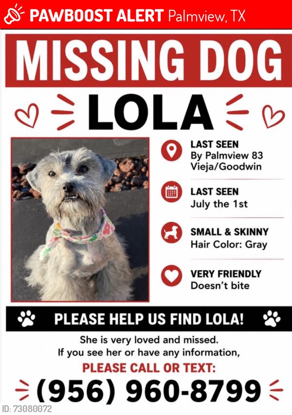 Lost Female Dog last seen Una calle antes de la 83 vieja. Al sur de la 83 vieja, Palmview, TX 78572