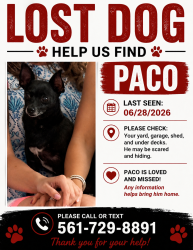 Lost Male Dog last seen 130th st and nw 10th Avenue, North Miami, FL 33168