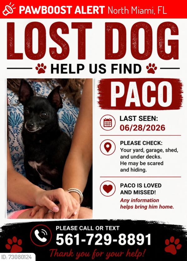 Lost Male Dog last seen 130th st and nw 10th Avenue, North Miami, FL 33168