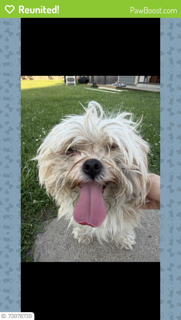 Reunited Female Dog last seen 63rd and lawndale , Chicago, IL 60629