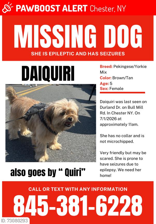 Lost Female Dog last seen Bull Mill Rd & Durland Dr, Chester, NY 10918