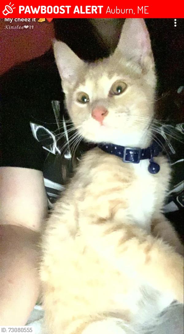 Lost Male Cat last seen Near Broad Street, Auburn Maine, Auburn, ME 04210
