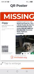 Lost Male Dog last seen Gerber and Power Inn, Sacramento, CA 95828