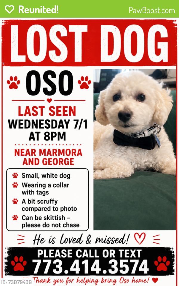 Reunited Male Dog last seen Marmora and George , Chicago, IL 60634