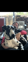 Lost Female Dog last seen Milwaukee and 6300, Lubbock, TX 79416