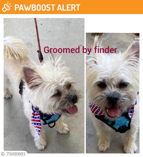 Found/Stray Unknown Dog last seen Floral and Mednik, East Los Angeles, CA 90022