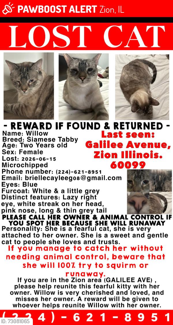 Lost Female Cat last seen Galilee Avenue and 27th, Zion, IL 60099