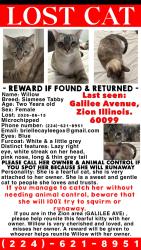 Lost Female Cat last seen Galilee Avenue and 27th, Zion, IL 60099