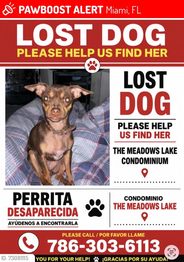 Lost Female Dog last seen By the meadows cndmnium in Kendall, Miami, FL 33183