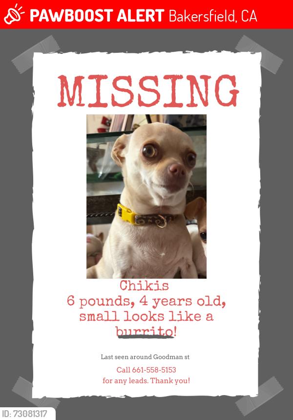 Lost Female Dog last seen Goodman, Bakersfield, CA 93305