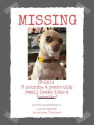Lost Female Dog last seen Goodman, Bakersfield, CA 93305