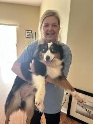 Reunited Female Dog last seen Intersection of Champions and International Golf Drive, Daytona Beach, FL 32124