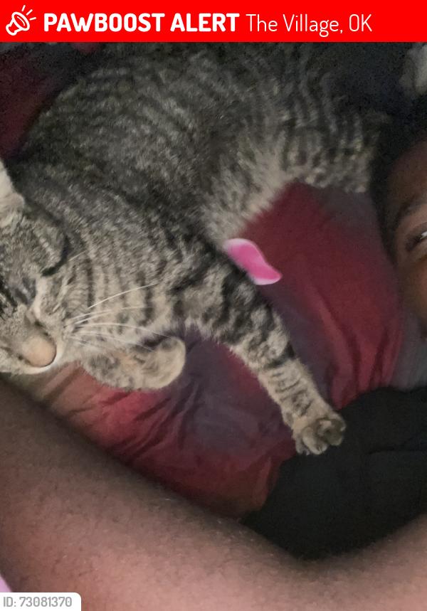Lost Male Cat last seen hse, The Village, OK 73120