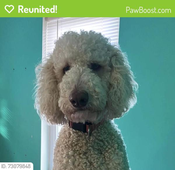 Reunited Female Dog last seen North Bend Rd and Eaton Drive Jarrettsville MD, Jarrettsville, MD 21084