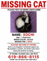 Lost Female Cat last seen Monte vista High school , Spring Valley, CA 91978