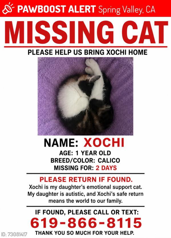 Lost Female Cat last seen Monte vista High school , Spring Valley, CA 91978
