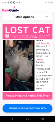 Lost Female Cat last seen 9th and Phillips by Enos area., Springfield, IL 62702