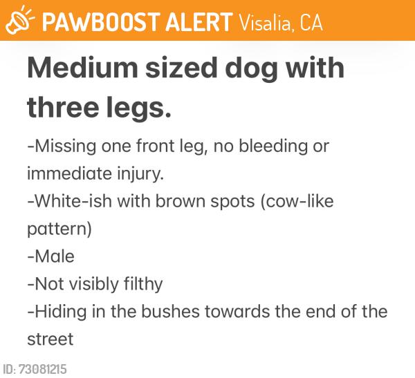 Found/Stray Male Dog last seen End of Modoc St, Visalia, CA 93291