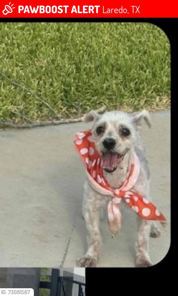 Lost Male Dog last seen Near San Isidro & highway (sierra ranch), Laredo, TX 78040