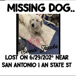 Lost Male Dog last seen State st an monte vista, Montclair, CA 91763