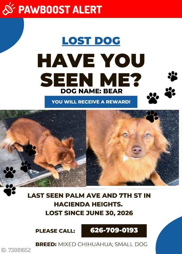 Lost Male Dog last seen Palm Ave & 7th St, Hacienda Heights, CA 91745