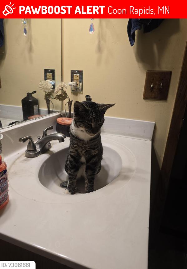 Lost Male Cat last seen 107th Robinson dr, Coon Rapids, MN 55433