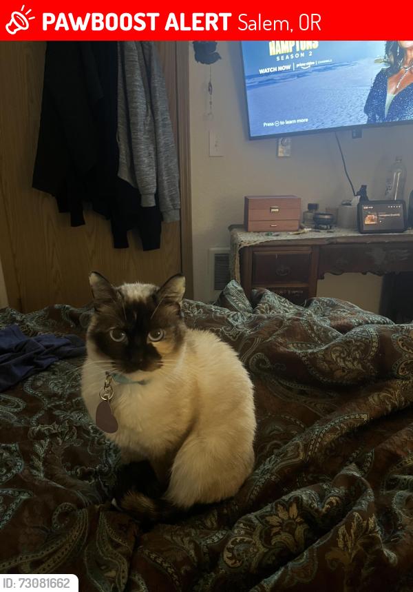 Lost Female Cat last seen Riverbend rd nw, Salem, OR 97304