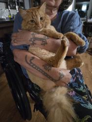Lost Male Cat last seen 178th street lake forest park, Lake Forest Park, WA 98155