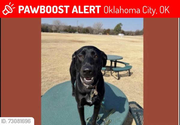 Lost Female Dog last seen 104th between Choctaw rd and hiwassee, Oklahoma City, OK 73165
