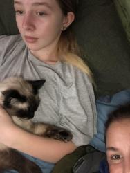 Reunited Female Cat last seen Villanova , San Jose, CA 95130