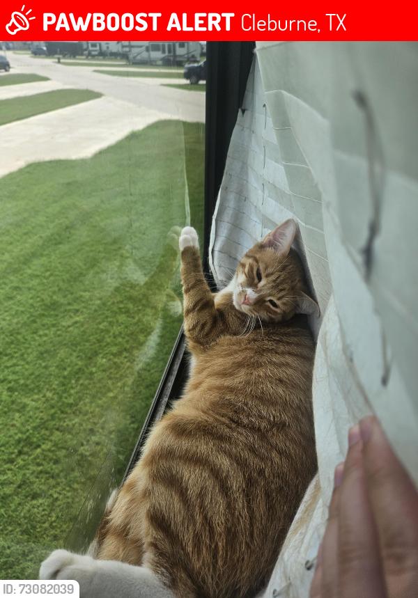 Lost Male Cat last seen Highland Hideaway RV Park, Cleburne, TX 76033