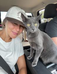 Reunited Female Cat last seen Near Seminole Rd, Palos Park, IL 60464, USA, Palos Park, IL 60464