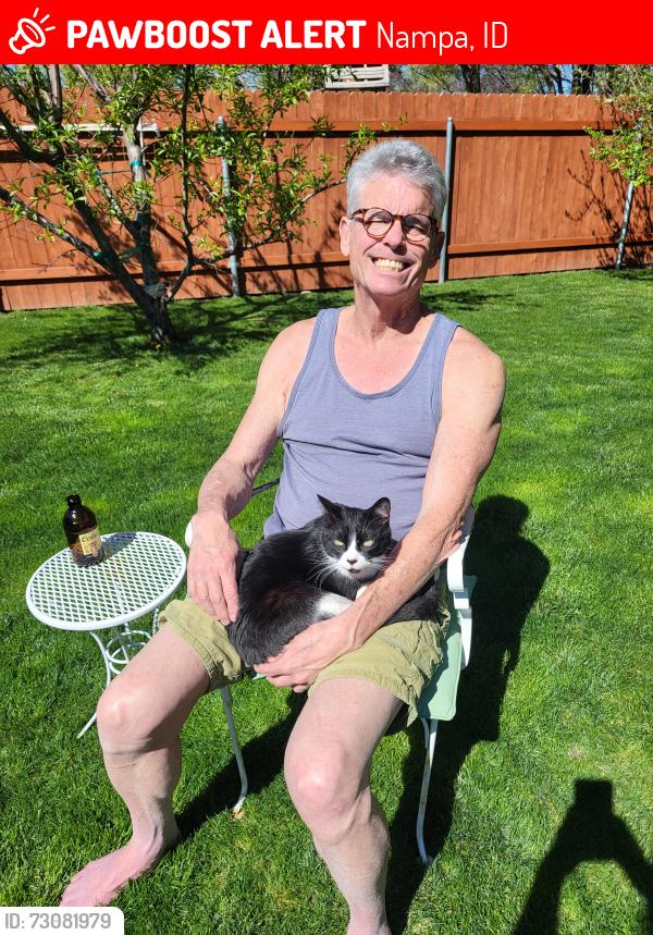 Lost Male Cat last seen Greenhurst/Lambert Dr., Nampa, ID 83686