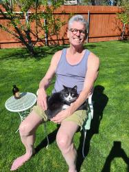 Lost Male Cat last seen Greenhurst/Lambert Dr., Nampa, ID 83686