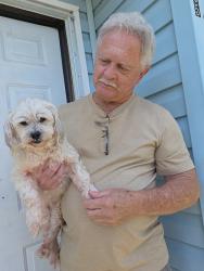 Reunited Female Dog last seen Central Blvd, Land O' Lakes, FL 34638