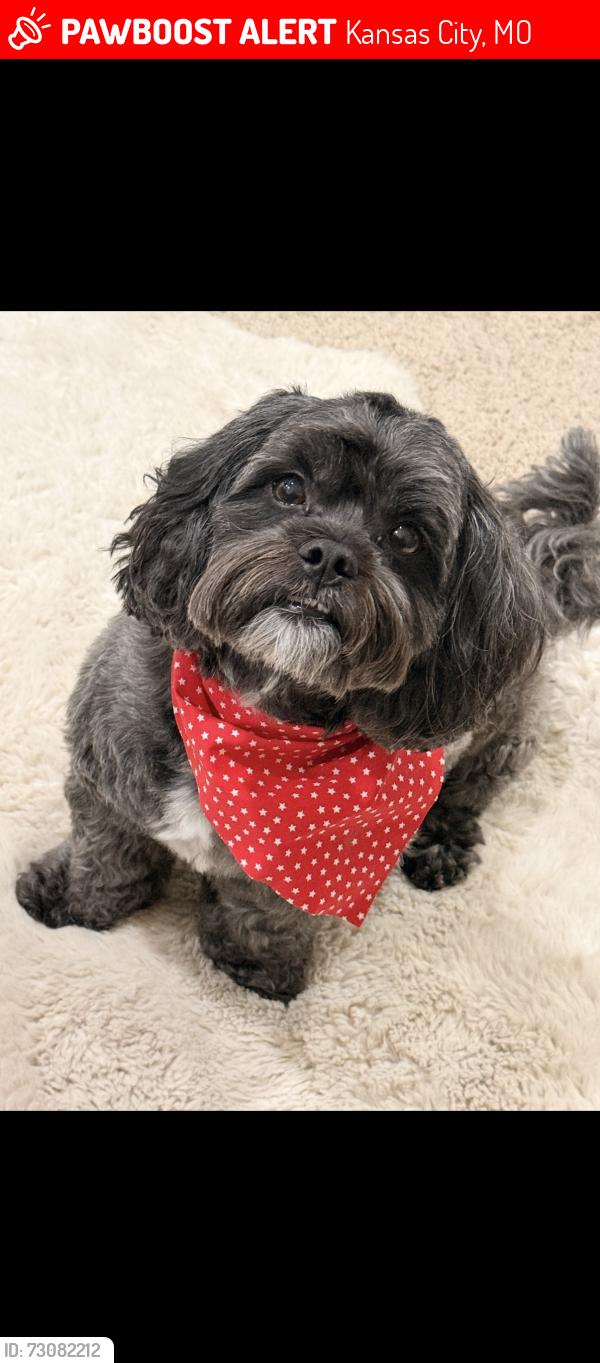 Lost Male Dog last seen 29th and Indiana, Kansas City, MO 64128