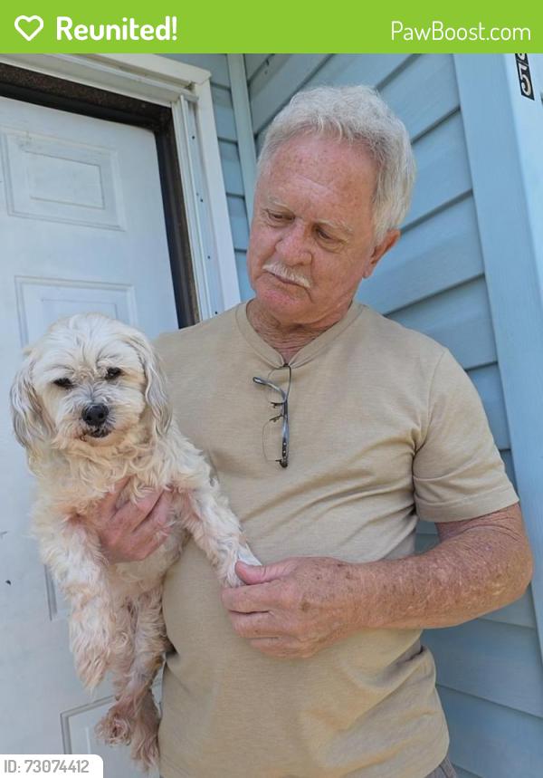 Reunited Female Dog last seen Central Blvd, Land O' Lakes, FL 34638