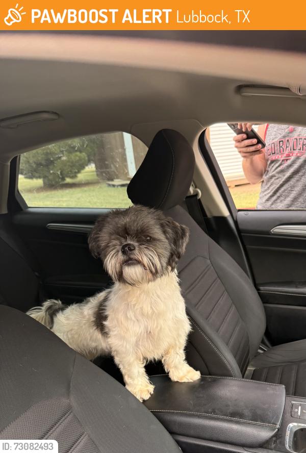 Found/Stray Female Dog last seen 71st street, Lubbock, TX 79424