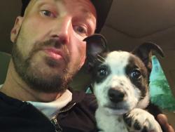Lost Female Dog last seen At rest stop just outside of Boise heading to mountain home, Boise, ID 83702