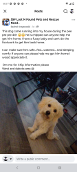 Found/Stray Male Dog last seen West and dakotA, Fresno, CA 93705