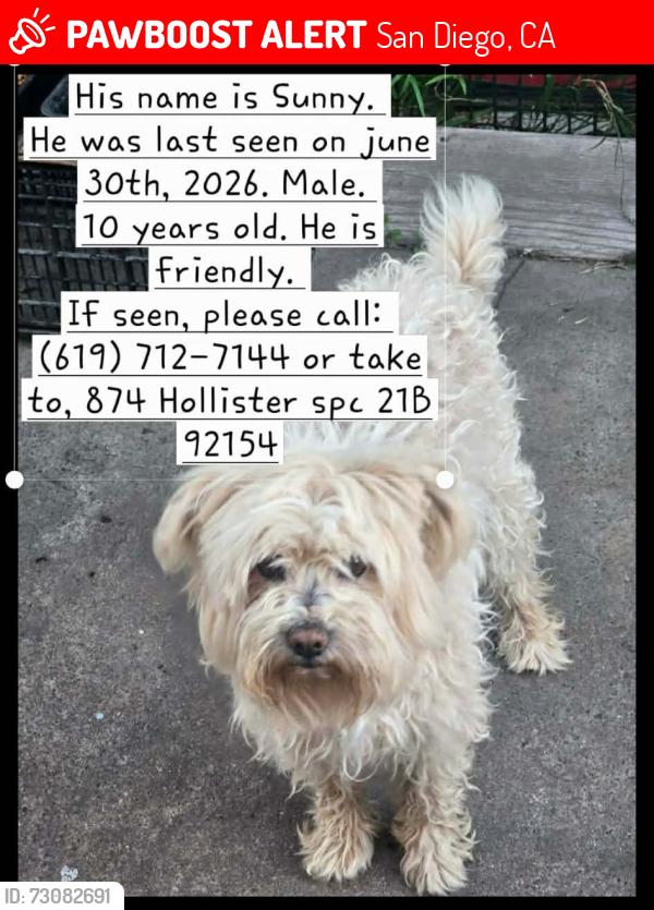 Lost Male Dog last seen Near hollister st sp 21 b, San Diego, CA 92154
