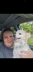 Reunited Female Dog last seen Alabama hwy near Coosa, Rome, GA 30165